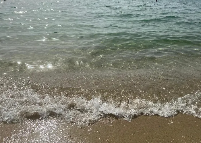 Pensiune Neversea Black Sea Ii Constanţa